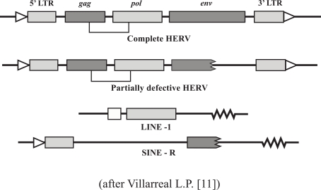 Fig. (3)