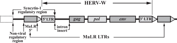 Fig. (4)