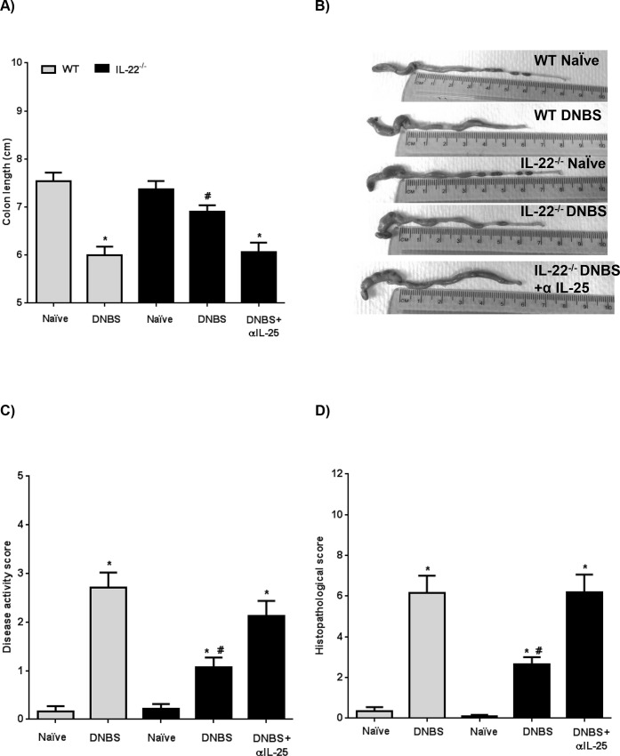 Fig 8