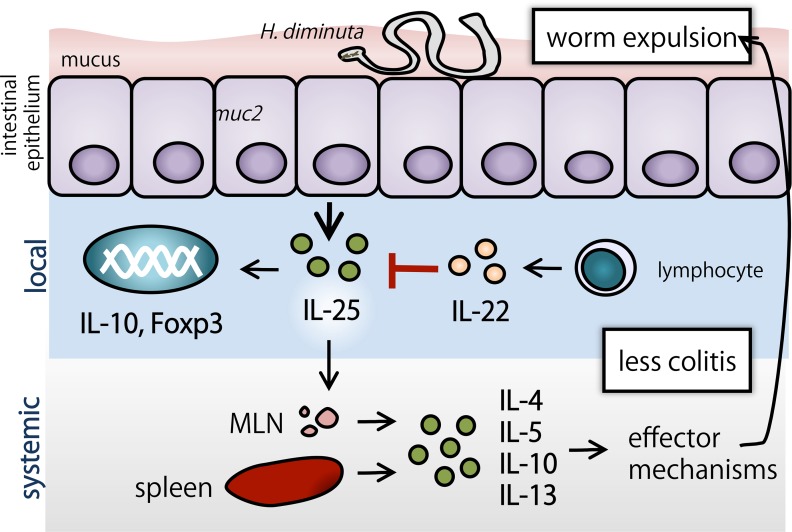 Fig 10