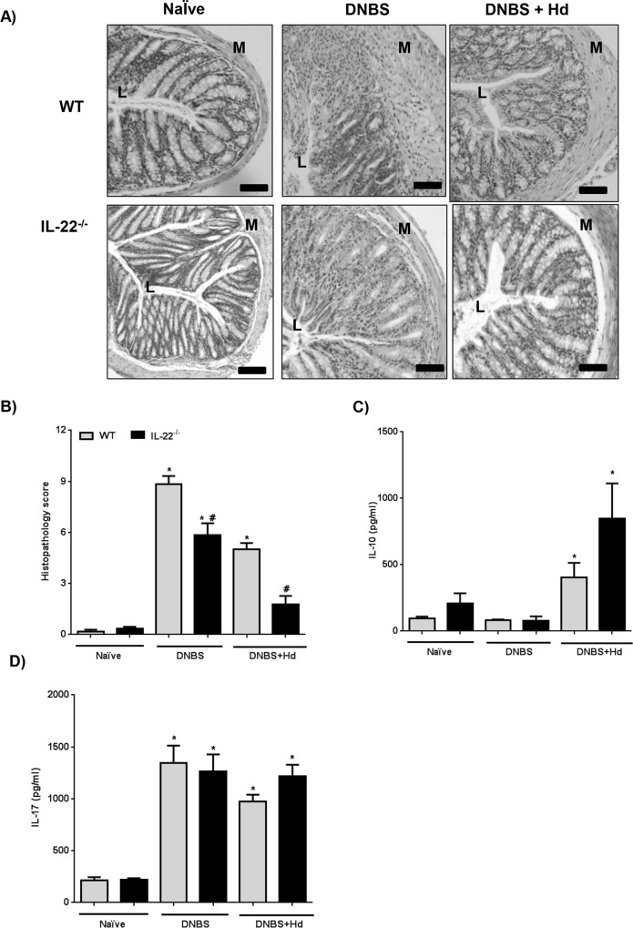 Fig 7