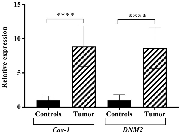 Figure 1.