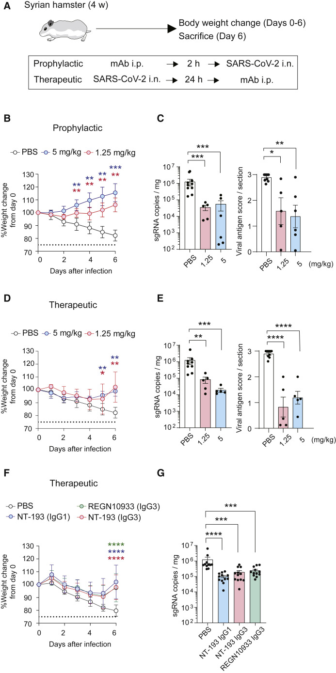 Figure 6