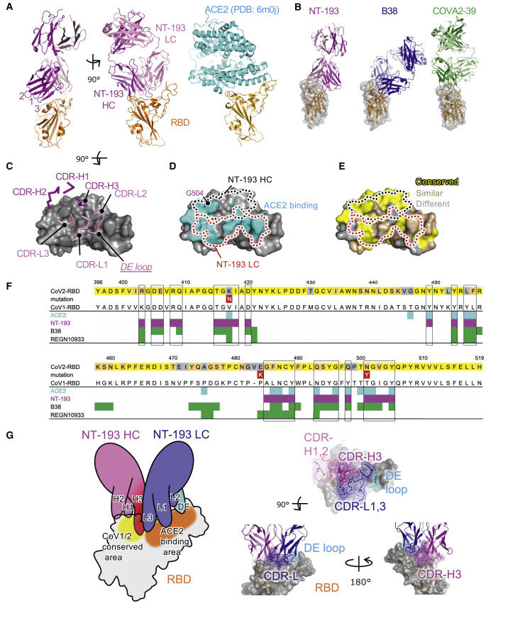 Figure 3