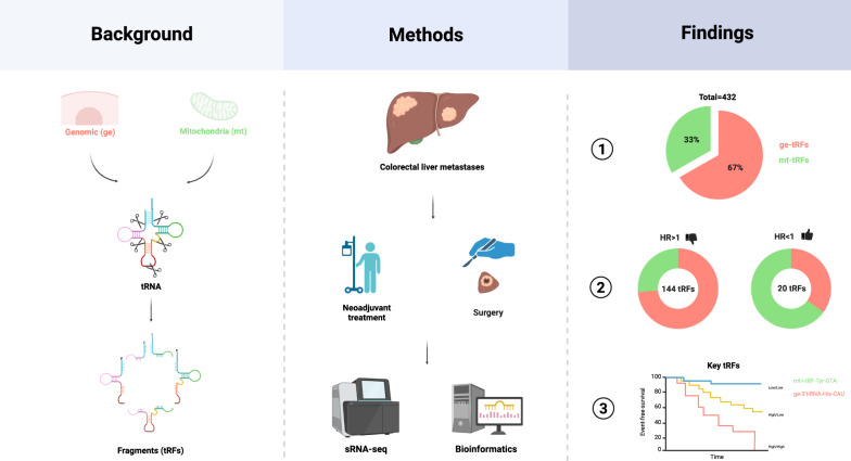 graphic file with name 12967_2025_6850_Figa_HTML.jpg