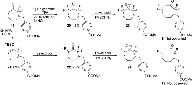 Scheme 4