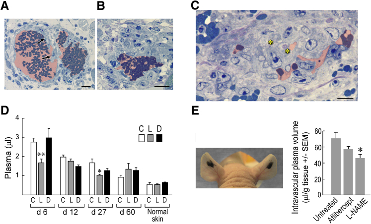 Figure 6