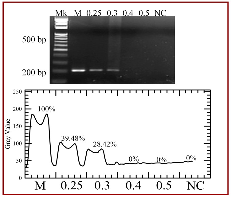 Figure 12