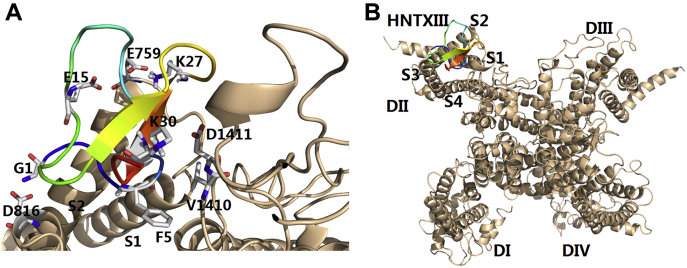 Figure 3