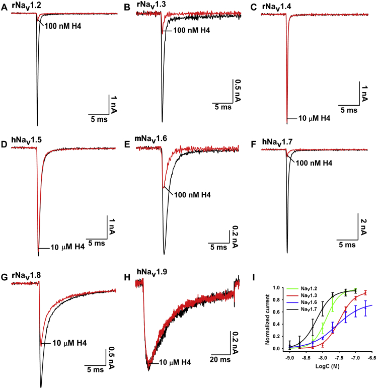 Figure 6