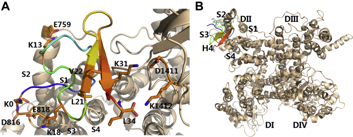 Figure 5