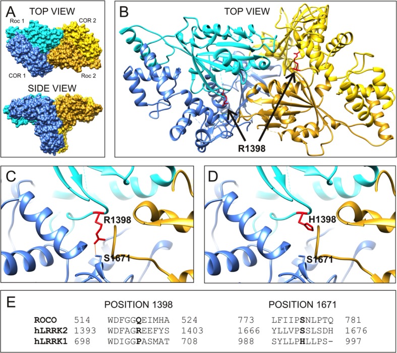 FIGURE 3