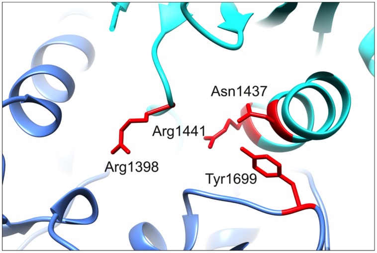 FIGURE 7