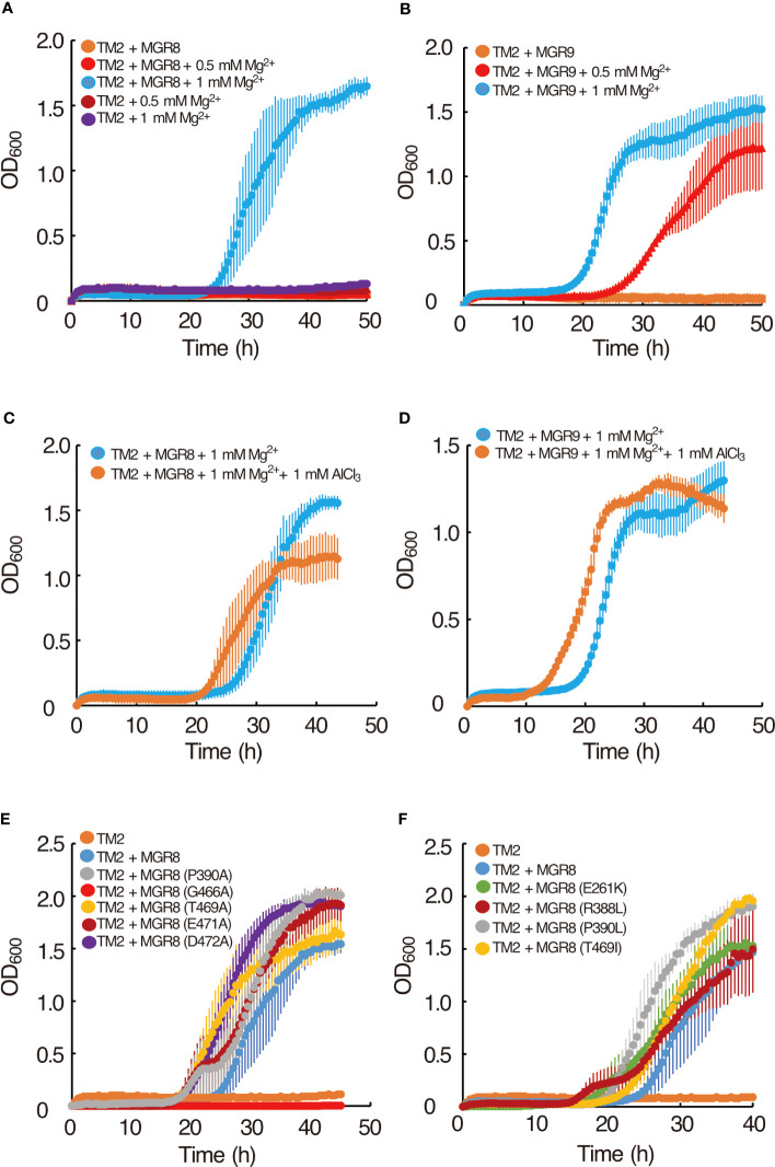 Figure 2