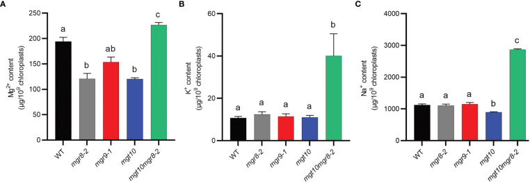 Figure 6