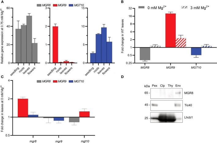 Figure 3