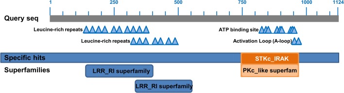 Fig 4