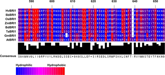 Fig 6