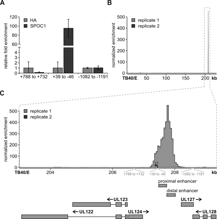 FIG 10