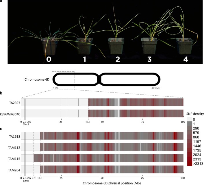 Extended Data Fig. 7