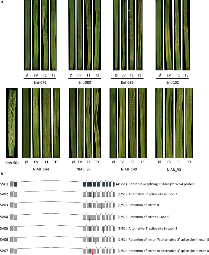 Extended Data Fig. 9