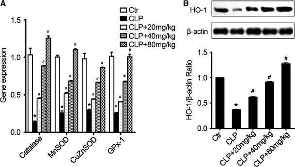 Fig. 6