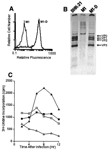 FIG. 4