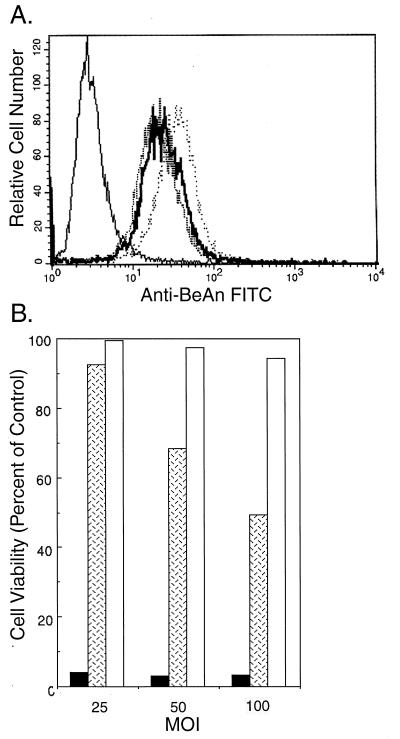 FIG. 5