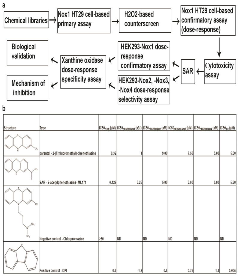 graphic file with name nihms230644f6.jpg