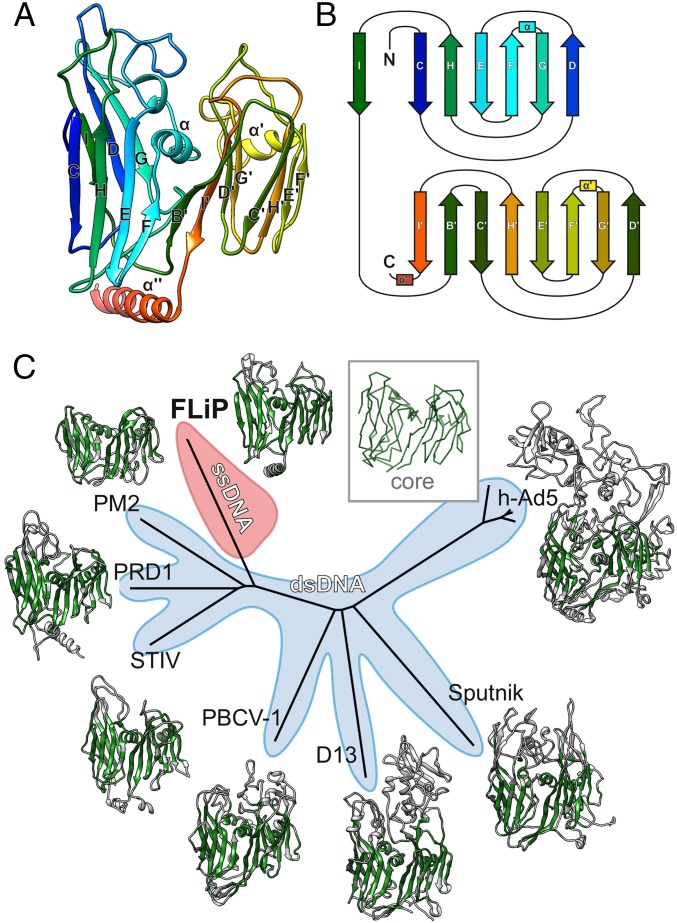 Fig. 3.