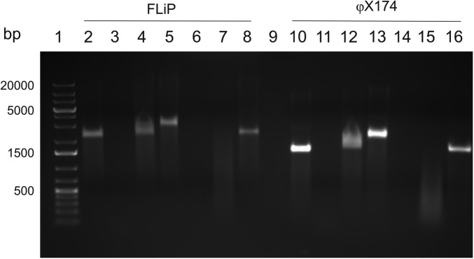 Fig. S1.