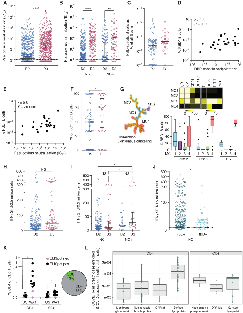 Figure 1. Vaccine-induced nAb, B- and T-cell responses to WA1 SARS-CoV-2. Blood was collected from myeloma patients 1 week–3 months following dose 2 and dose 3 of the SARS-CoV-2 mRNA vaccine. Plasma was analyzed to determine serologic responses to WA1 SARS-CoV-2 using RBD-specific endpoint titer and pseudovirus neutralization assay. PBMCs were examined for the presence of RBD-specific B cells using flow cytometry and single-cell mass cytometry. T-cell response directed against WA1 spike protein was detected using the IFNγ-ELISpot assay as well as antigen-induced marker expression (AIM) assay using CyTOF. In some patients, immunosequencing of the CDR3 regions of human TCRβ chains was performed using the ImmunoSEQ T-Detect Assay (Adaptive Biotechnologies) to identify SARS-CoV-2–specific T cells. A, Pseudovirus neutralization IC50 following 2 (D2, n = 342) or 3 doses (D3, n = 253). Data, median with a 95% confidence interval (****, P < 0.0001, Mann–Whitney test). B, Pseudovirus neutralization IC50 following 2 (D2) or 3 doses (D3), based on nucleocapsid (NC) Ab reactivity. NC− (D2: n = 269, D3: n = 78), NC+ (D2: n = 73, D3: n = 49). Data, median with a 95% confidence interval (**, P < 0.01; ****, P < 0.0001, Kruskal–Wallis). C, RBD-specific B cells as % of all B cells following dose 2 (D2: n = 107) or dose 3 (D3: n = 60). Figures show median with 95% confidence interval (*, P < 0.05, Mann–Whitney test). D and E, Correlation between RBD-specific B cells and RBD-specific endpoint titer (last dilution for positive assay; 1D) and pseudovirus neutralization (1E). F, RBD-specific IgG+ B cells between dose 2 and dose 3 in patients with detectable RBD-specific B cells. Figures show median with 95% confidence interval (*, P < 0.05; Mann–Whitney test). G, CyTOF was performed to examine RBD-specific B-cell response. Hierarchical consensus clustering was performed on RBD-specific B cells from healthy control (HC, n = 7) as well as patients following 2 or 3 doses of the SARS-CoV-2 vaccine (n = 26 and n = 19, respectively). The figure shows FlowSOM map for all samples, as well as a heat map of markers expressed by the four B-cell metaclusters (MC; MC1, MC2, MC3, and MC4). The bar graph shows the proportion of RBD+ cells in individual metaclusters. H–J, WA1 spike-specific T cells detected by interferon-γ ELISpot assay. H, IFNγ ELISPOT assay in the entire cohort (dose 2: n = 130, dose 3: n = 60) by dose. I, ELISpot assay split by nucleocapsid reactivity [NC-D2 (n = 100), NC-D3 (n = 35), NC + D2 (n = 22), NC + D3 (n = 25)]. J, ELISpot assay by serum RBD reactivity (seropositive (RBD+ n = 150) and seronegative (RBD− n = 32) nucleocapsid antibody-negative patients. K, Detection of WA1 spike-specific T cells. Graph shows AIM+ CD4 and CD8 T cells in patients with detectable spike-specific IFNγ-specific T cells by the ELISpot assay (n = 9) as well as patients who did not have detectable spike-specific IFNγ-specific T cells by ELISPOT assay (n = 2). Pie chart shows the mean proportions of spike-specific CD4+ and CD8+ T cells for 9 patients with detectable spike-reactive T cells. US = unstimulated control (*, P < 0.05; #, P = 0.05, paired t test). L, Detection of SARS-CoV-2–specific T cells by Adaptive Biotechnologies T-Detect COVID assay. Note that increases in surface glycoprotein-reactive TCRs as assessed by COVID T-cell breadth are mostly seen for CD4+ TCRs.