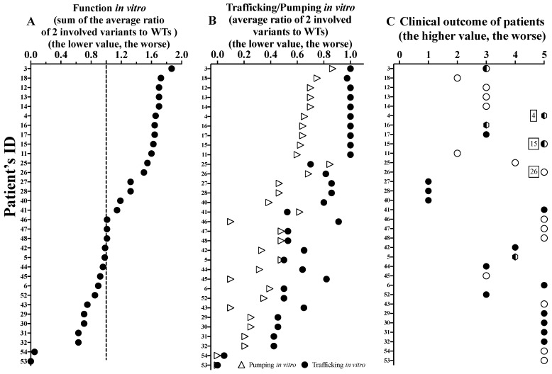 Figure 6