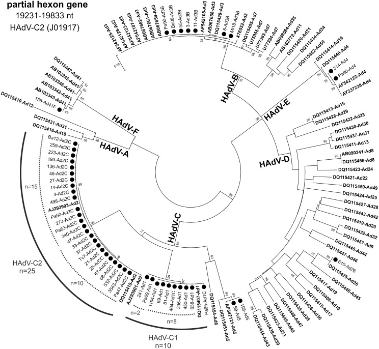 Fig 1