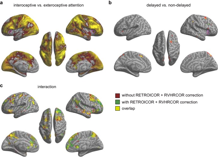 Figure 5—figure supplement 2.