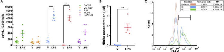 Figure 7