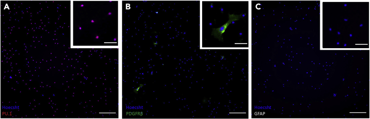 Figure 5