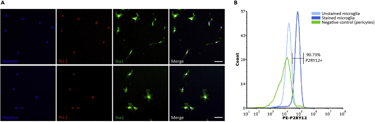 Figure 6