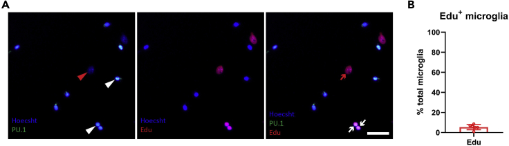 Figure 4