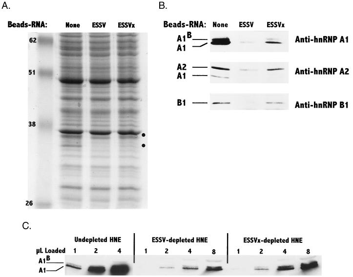 FIG. 6