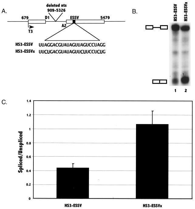 FIG. 3