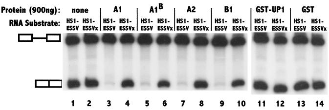 FIG. 7