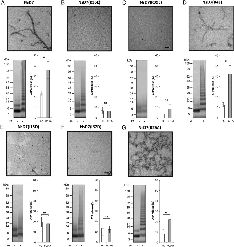 Fig. 4.