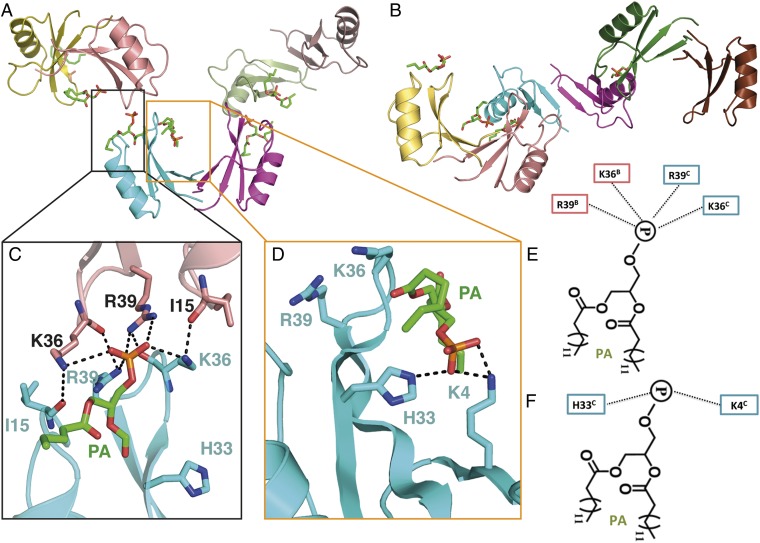 Fig. 3.