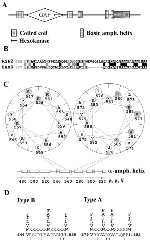 FIG. 5.