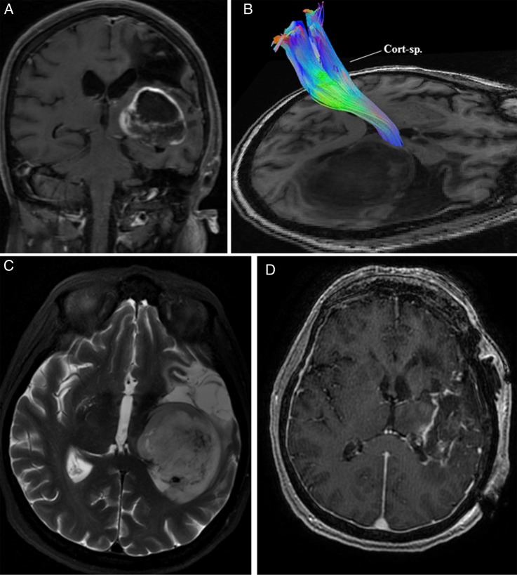 Fig. 2.