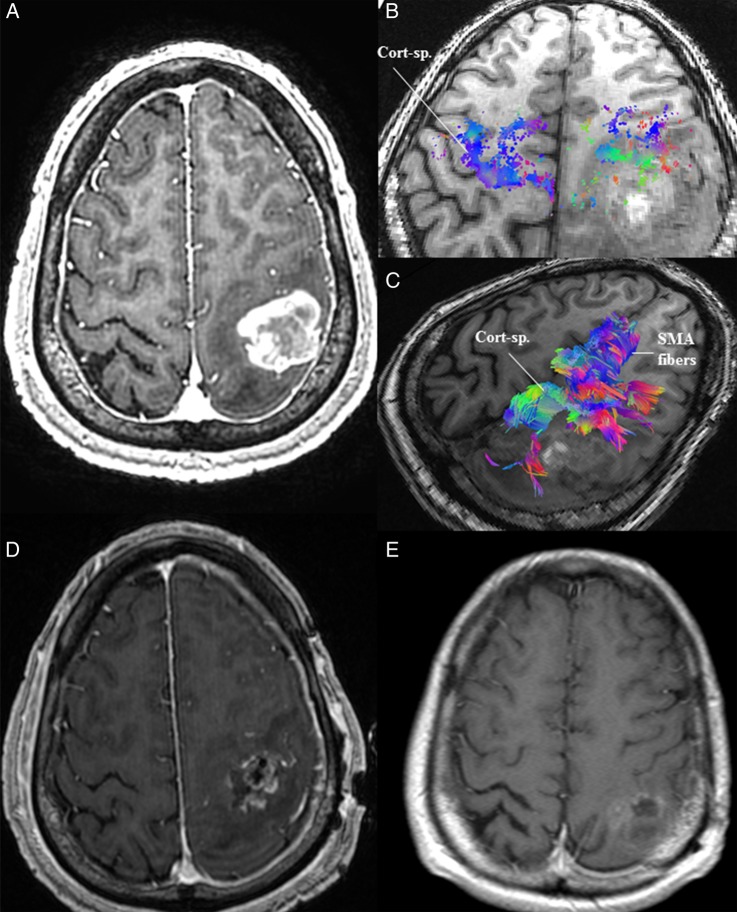 Fig. 1.