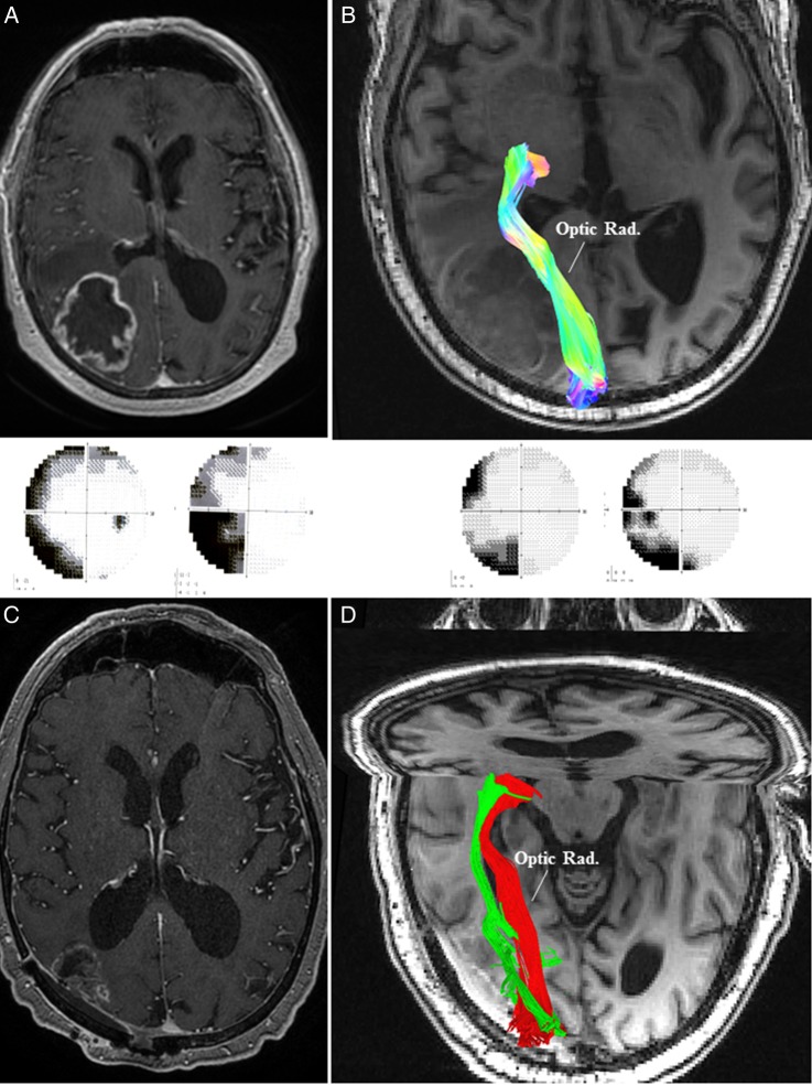 Fig. 3.