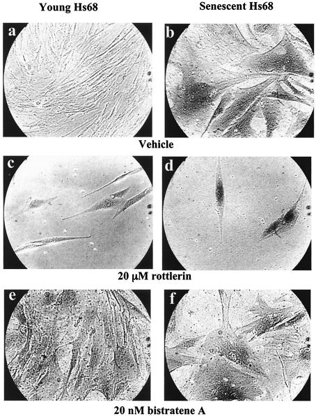 FIG. 9.