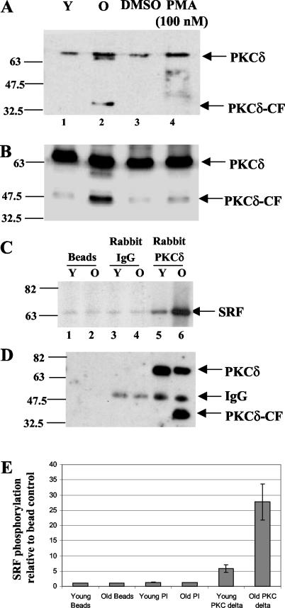 FIG. 5.